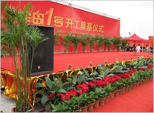 <b>慶典用綠植</b>