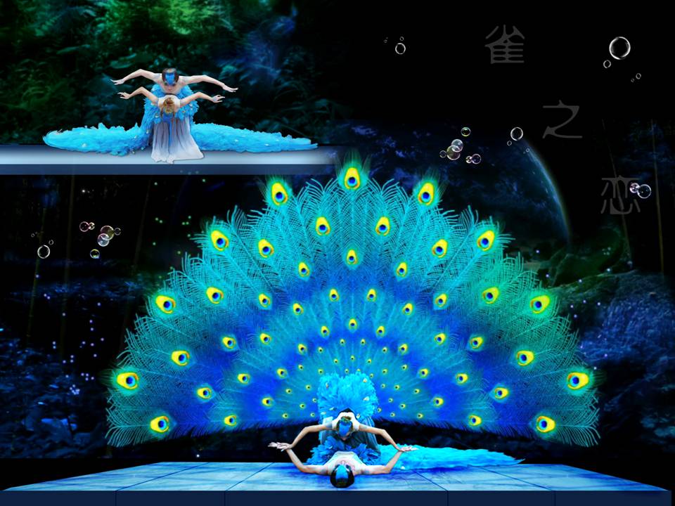 <b>舞蹈-雀之戀</b>